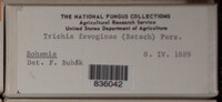 Image Associated With the Occurence